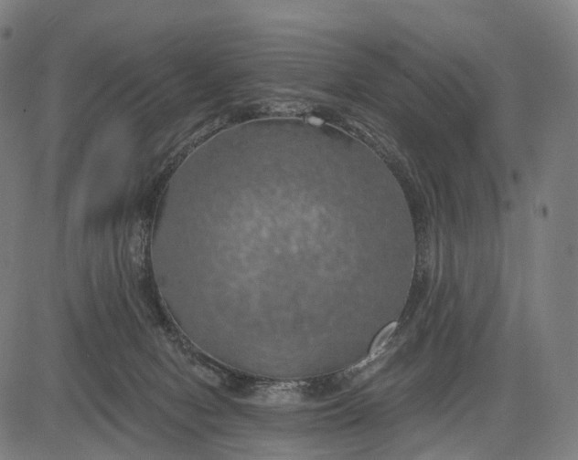 X0000084530078200703091639