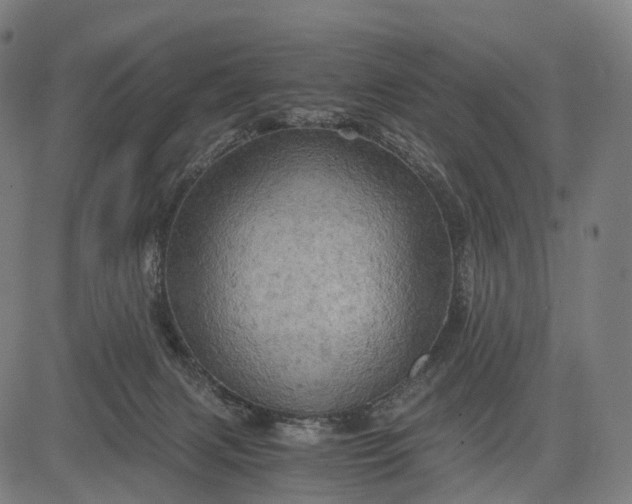 X0000084530079200703091639