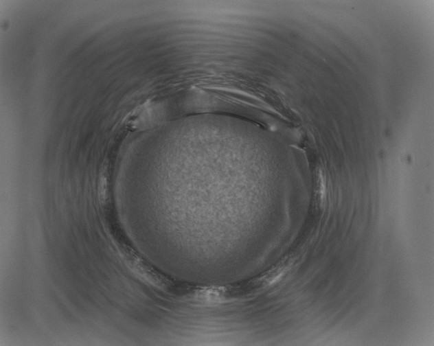 X0000084530080200703091639