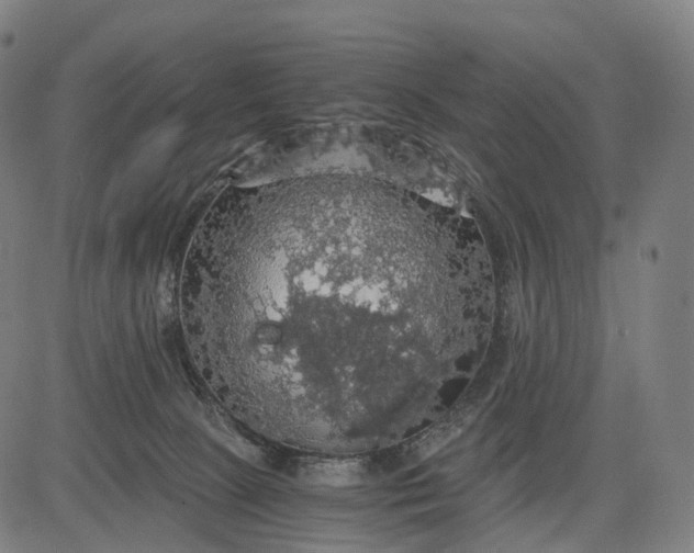 X0000084530081200703091639