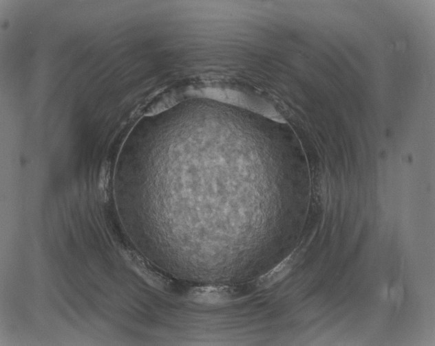 X0000084530082200703091639