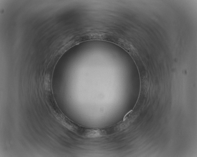 X0000084530083200703091639