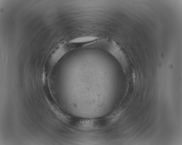 X0000084530084200703091639