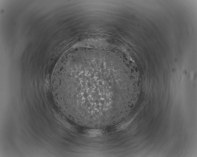 X0000084530085200703091639