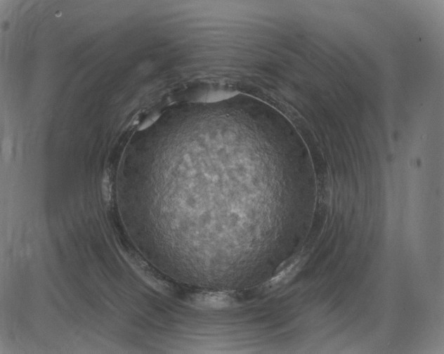 X0000084530086200703091639