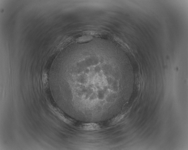 X0000084530087200703091639