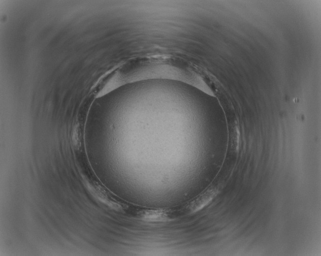 X0000084530088200703091639