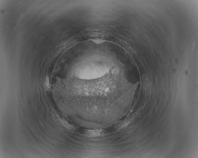 X0000084530089200703091639