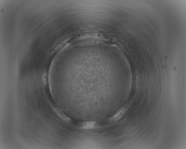 X0000084530090200703091639