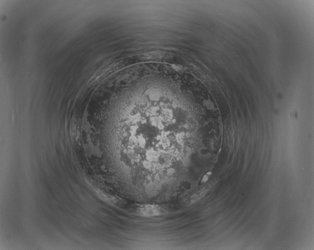 X0000084530091200703091639