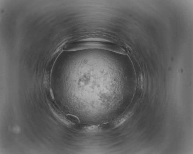 X0000084530092200703091639