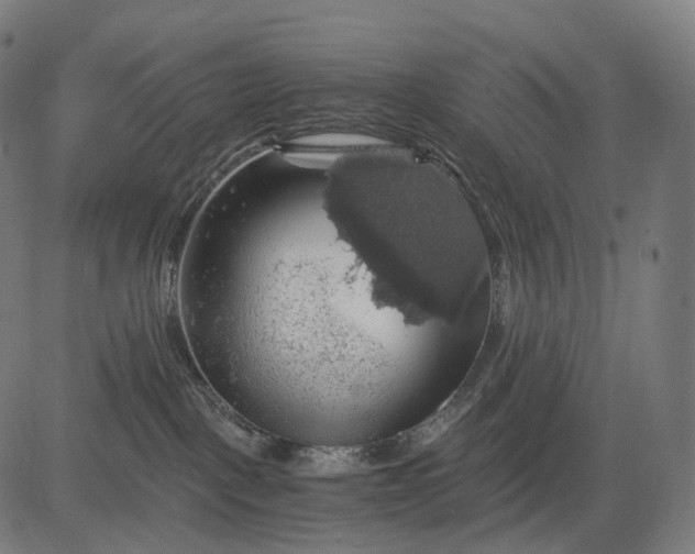 X0000084530093200703091639