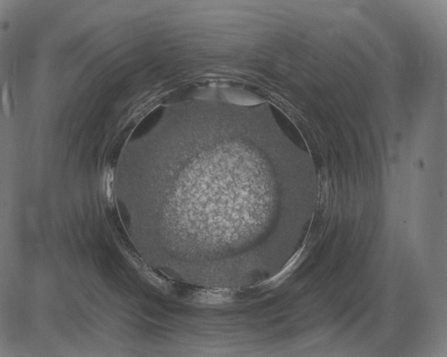 X0000084530094200703091639