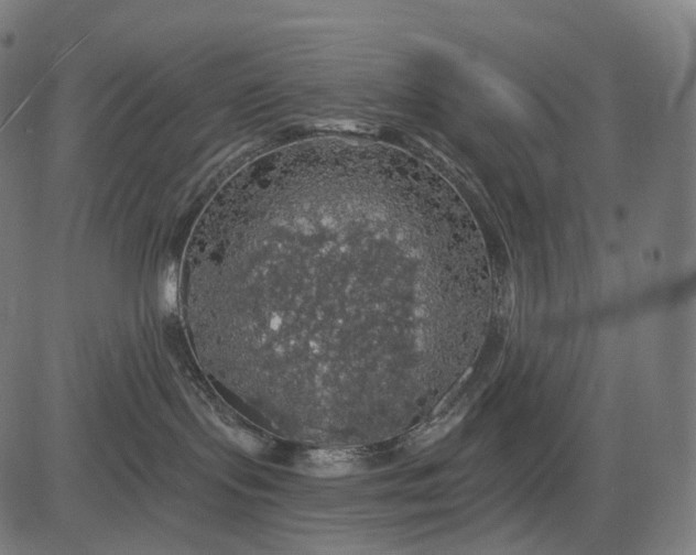 X0000084530095200703091639