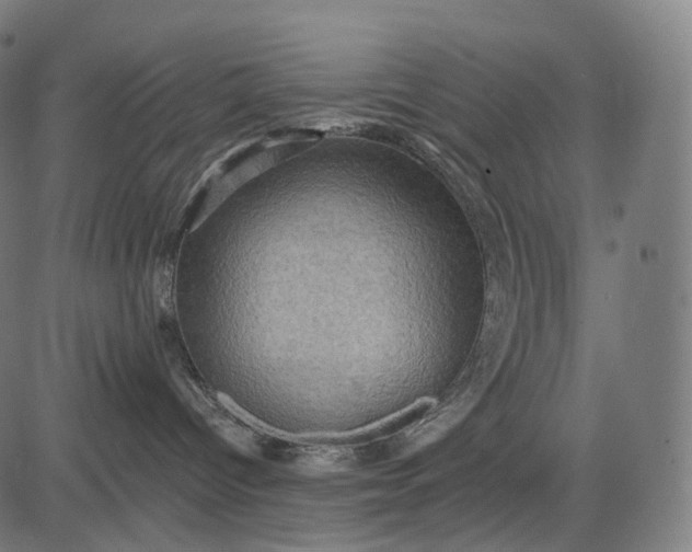 X0000084530096200703091639