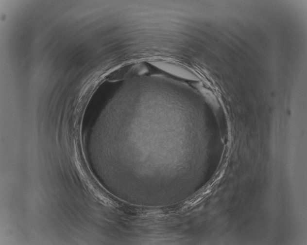 X0000084530097200703091638