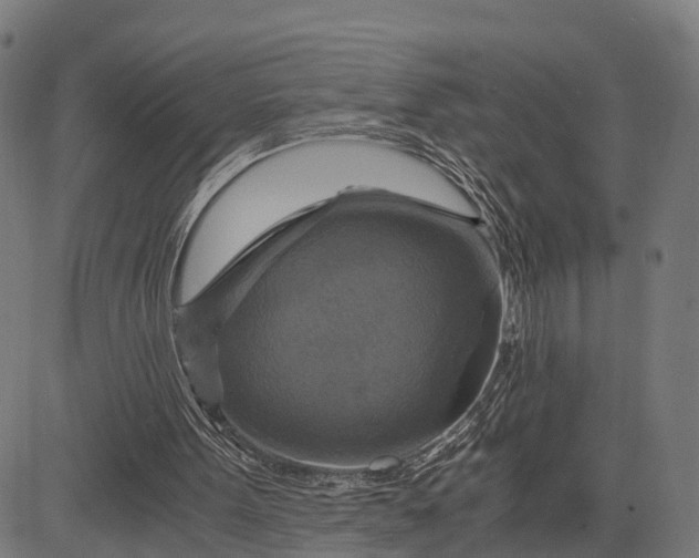 X0000084530099200703091638