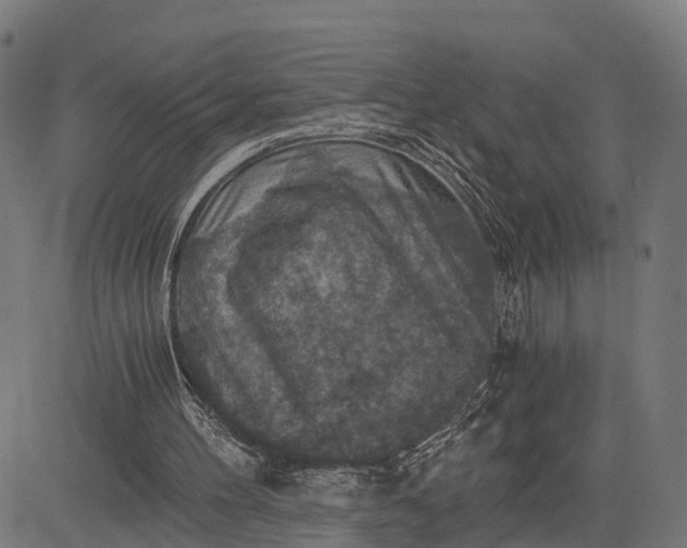 X0000084530100200703091638