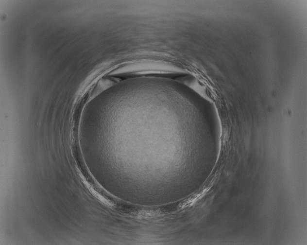 X0000084530101200703091638