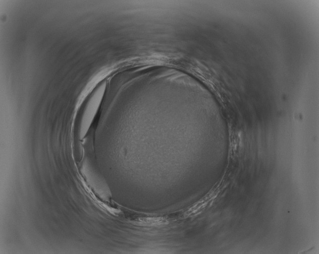 X0000084530102200703091638