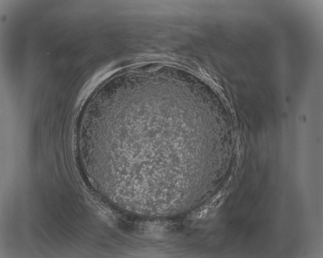 X0000084530103200703091638