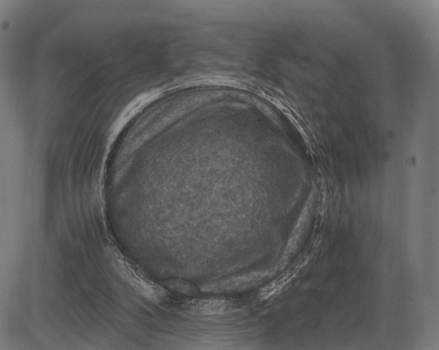 X0000084530104200703091638