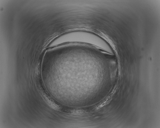 X0000084530105200703091638