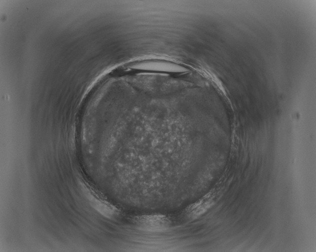 X0000084530108200703091638