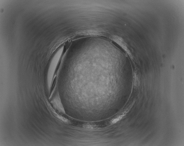 X0000084530109200703091638