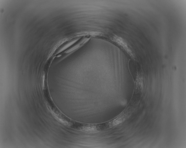 X0000084530110200703091638