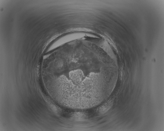 X0000084530111200703091638