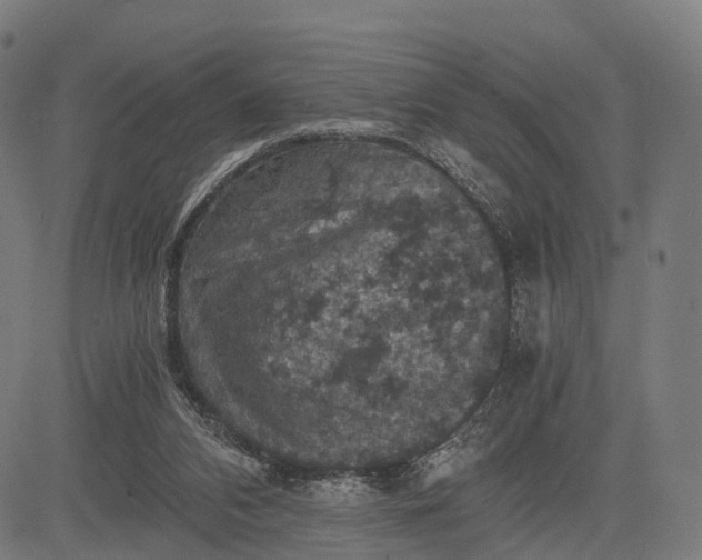 X0000084530112200703091638