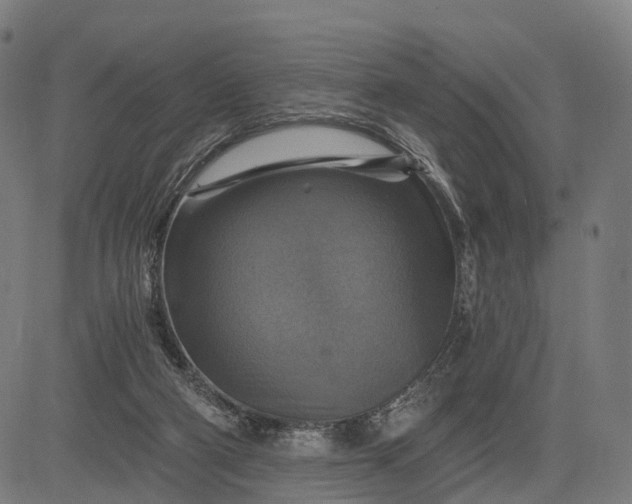 X0000084530114200703091638