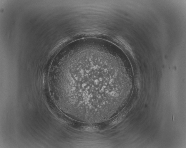 X0000084530115200703091638