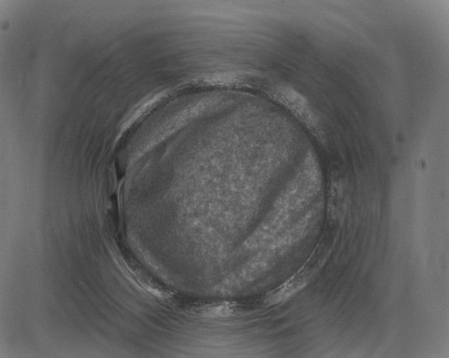 X0000084530116200703091638