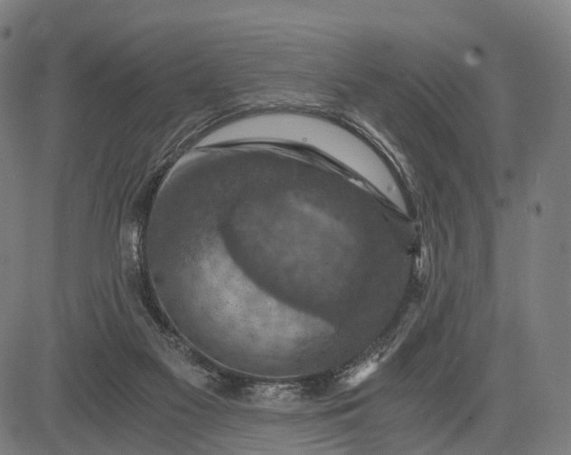 X0000084530117200703091638