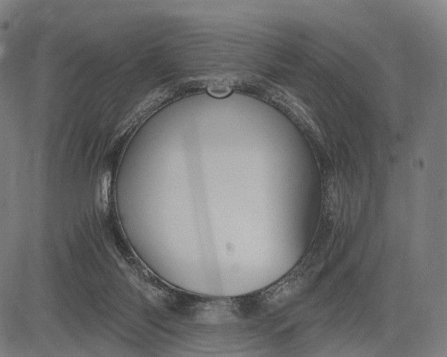 X0000084530118200703091638