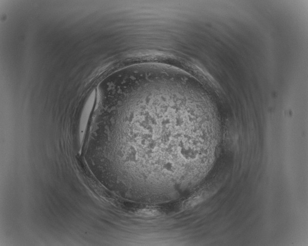 X0000084530119200703091638