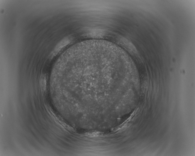 X0000084530120200703091638