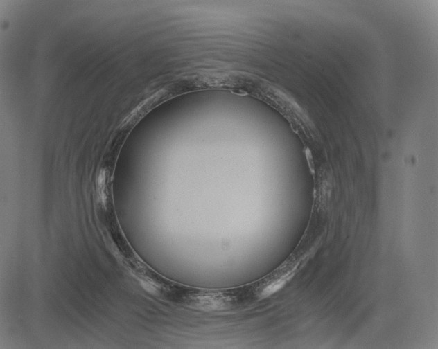 X0000084530121200703091638