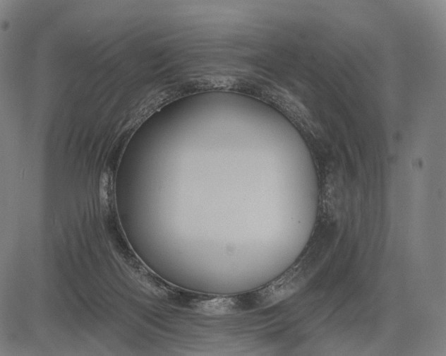 X0000084530122200703091638