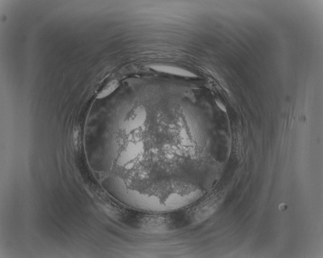 X0000084530123200703091638