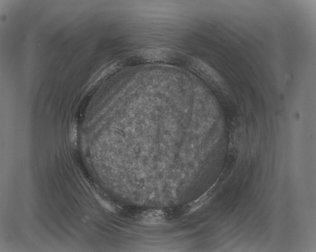 X0000084530124200703091638