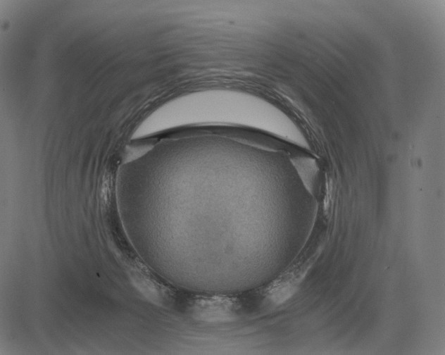 X0000084530125200703091638