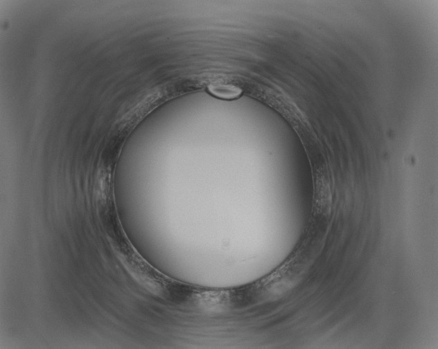 X0000084530126200703091638