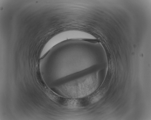 X0000084530127200703091638