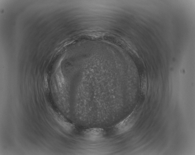 X0000084530128200703091638