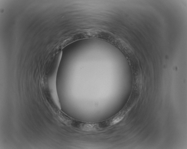 X0000084530129200703091638