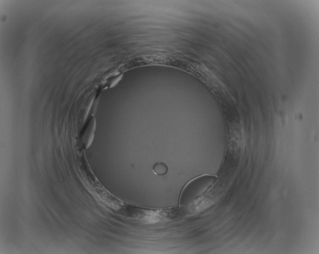 X0000084530130200703091638