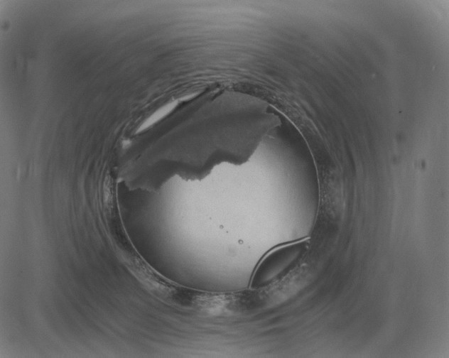 X0000084530131200703091638